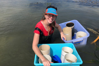 Hydrological wetland restoration