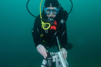 The Science of Sound in the Sea